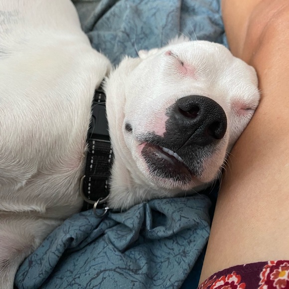 Meet your Posher, Roxanne - Picture 3 of 3